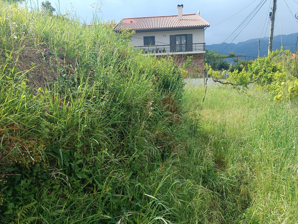 Terreno para construção em Salamonde - Geres