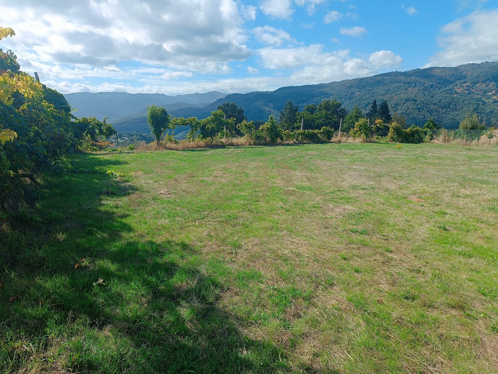 Terreno Urbano em Louredo Gerês c/ 1034m2, todo plano