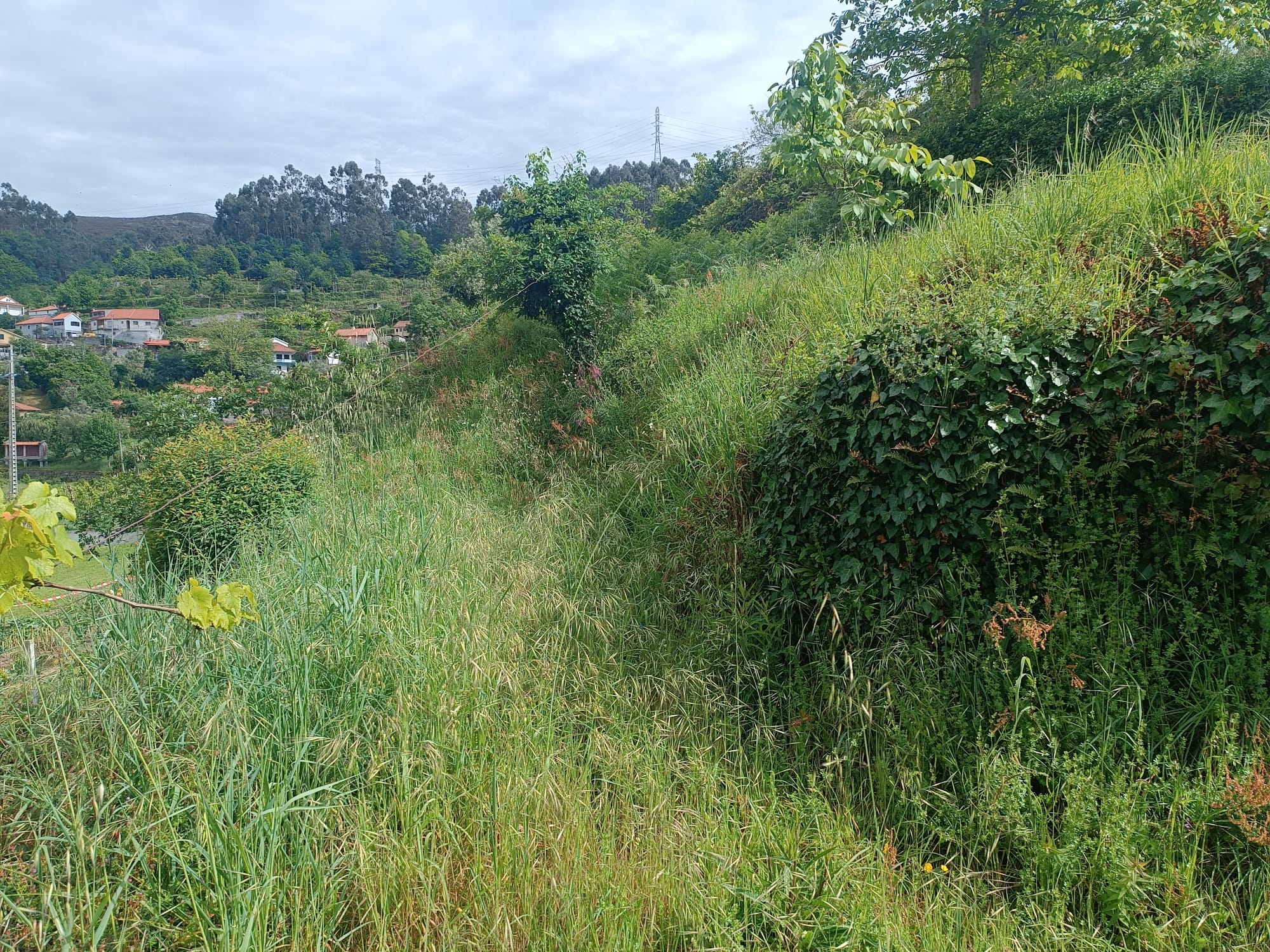 Terreno para construção em Salamonde - Geres
