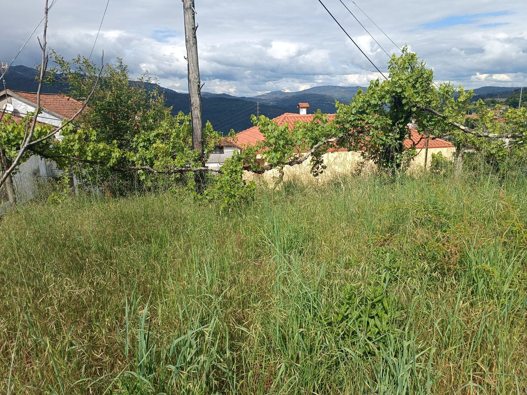 Terreno para construção em Salamonde - Geres