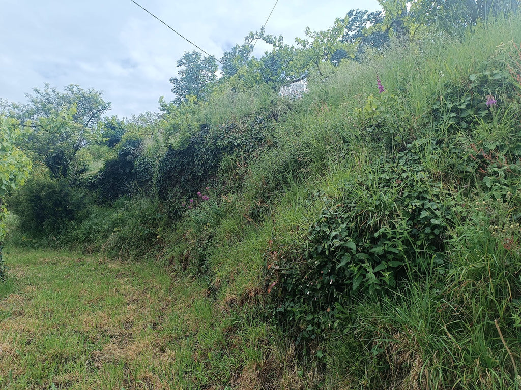 Terreno para construção em Salamonde - Geres