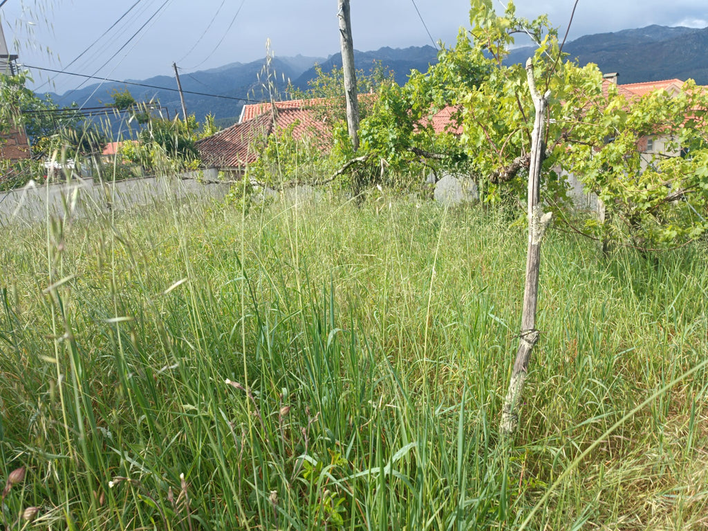 Terreno para construção em Salamonde - Geres