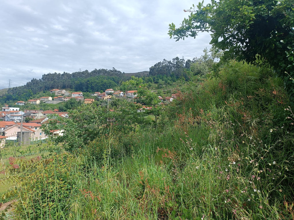 Terreno para construção em Salamonde - Geres
