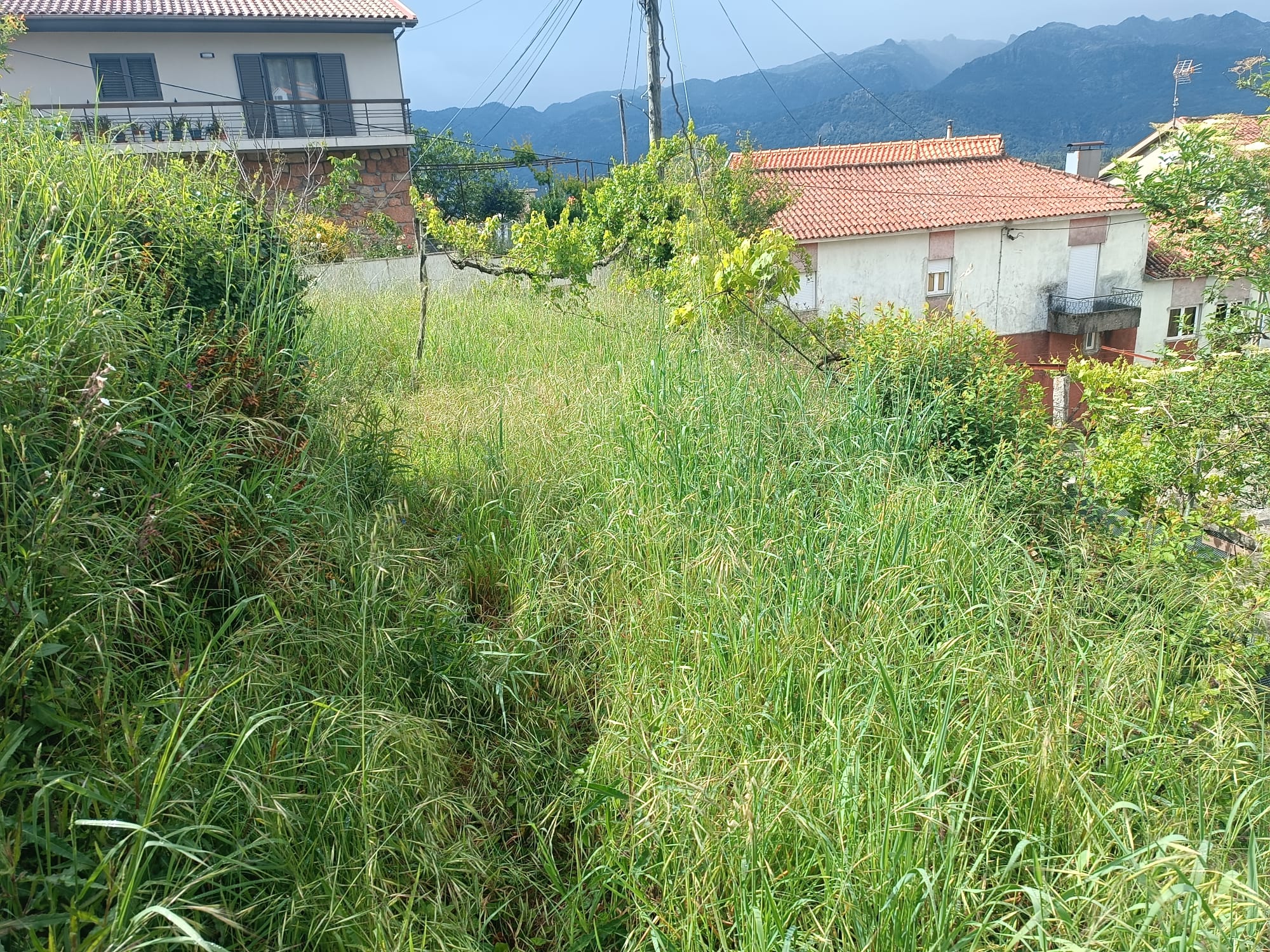 Terreno para construção em Salamonde - Geres