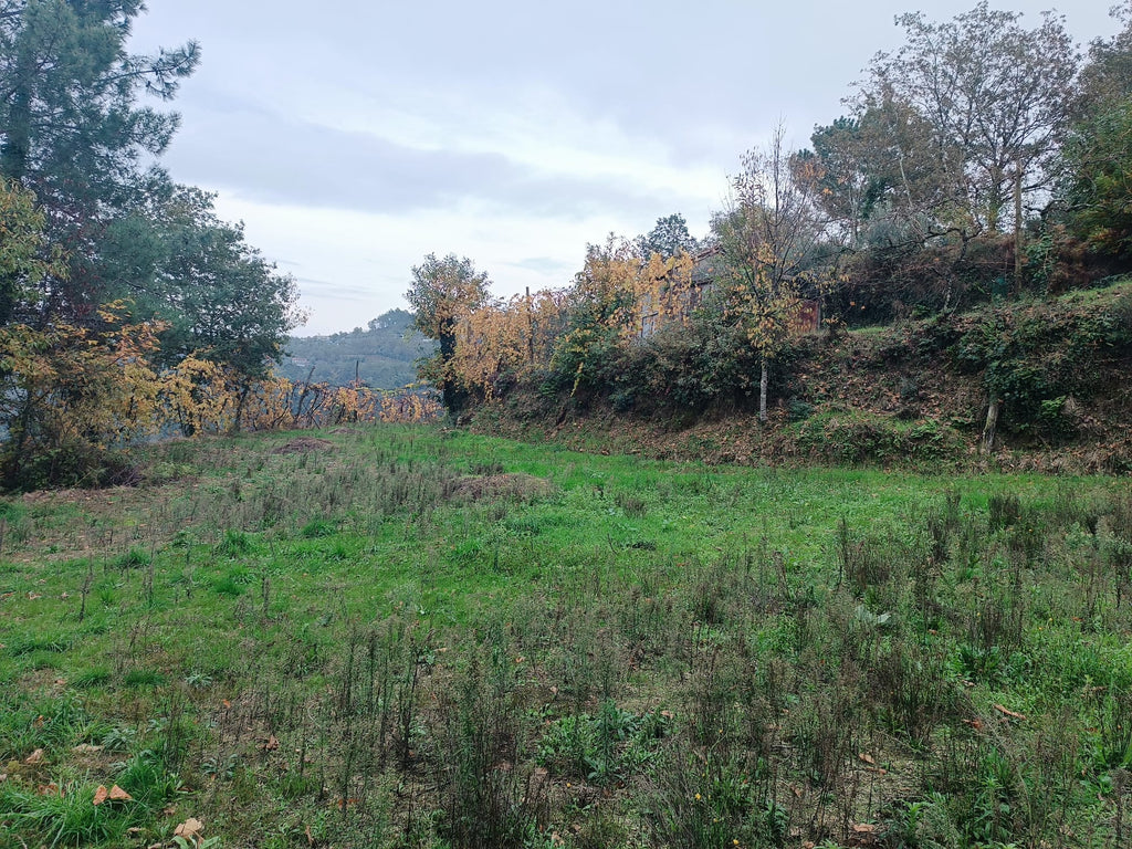 Terreno c/ 1.400m2 e Armazem em Louredo, Geres