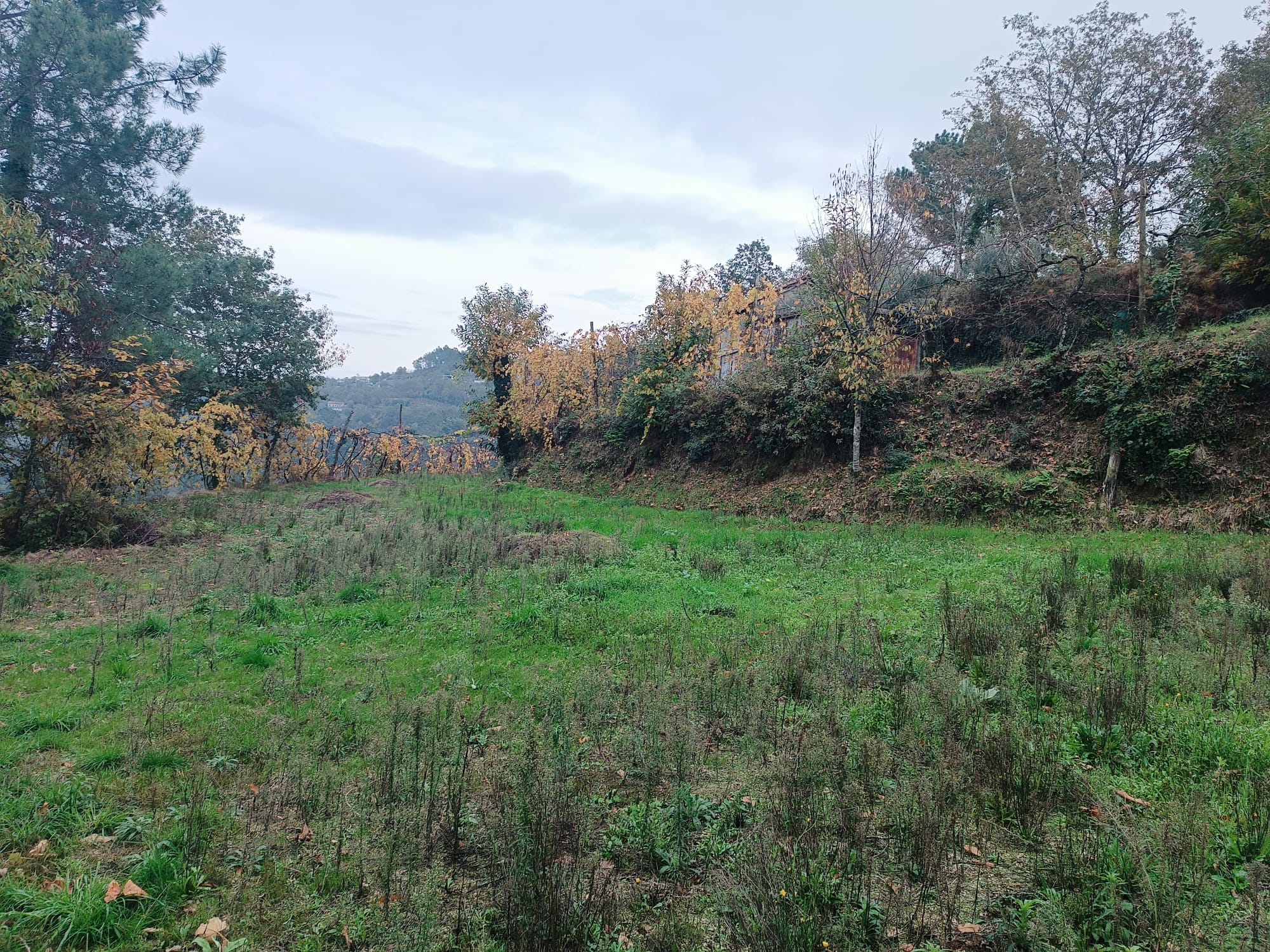 Terreno c/ 1.400m2 e Armazem em Louredo, Geres