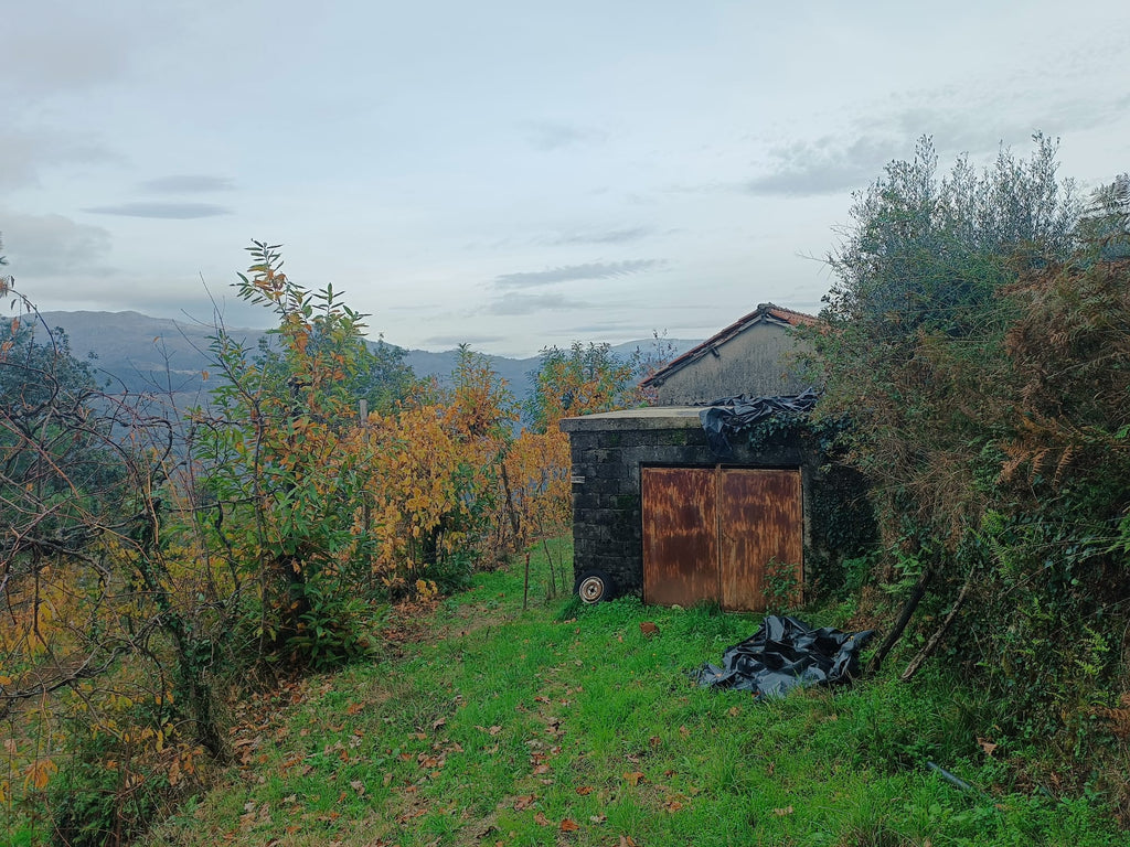 Terreno c/ 1.400m2 e Armazem em Louredo, Geres