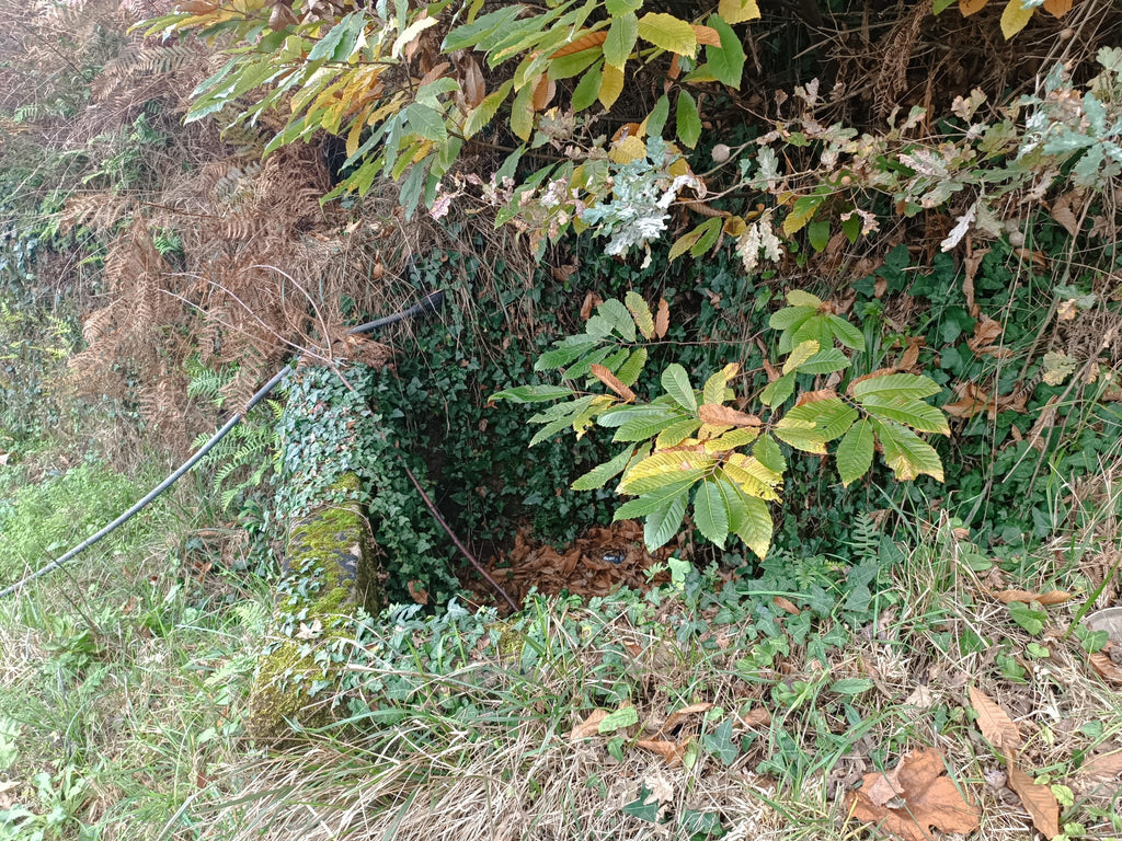 Terreno c/ 1.400m2 e Armazem em Louredo, Geres