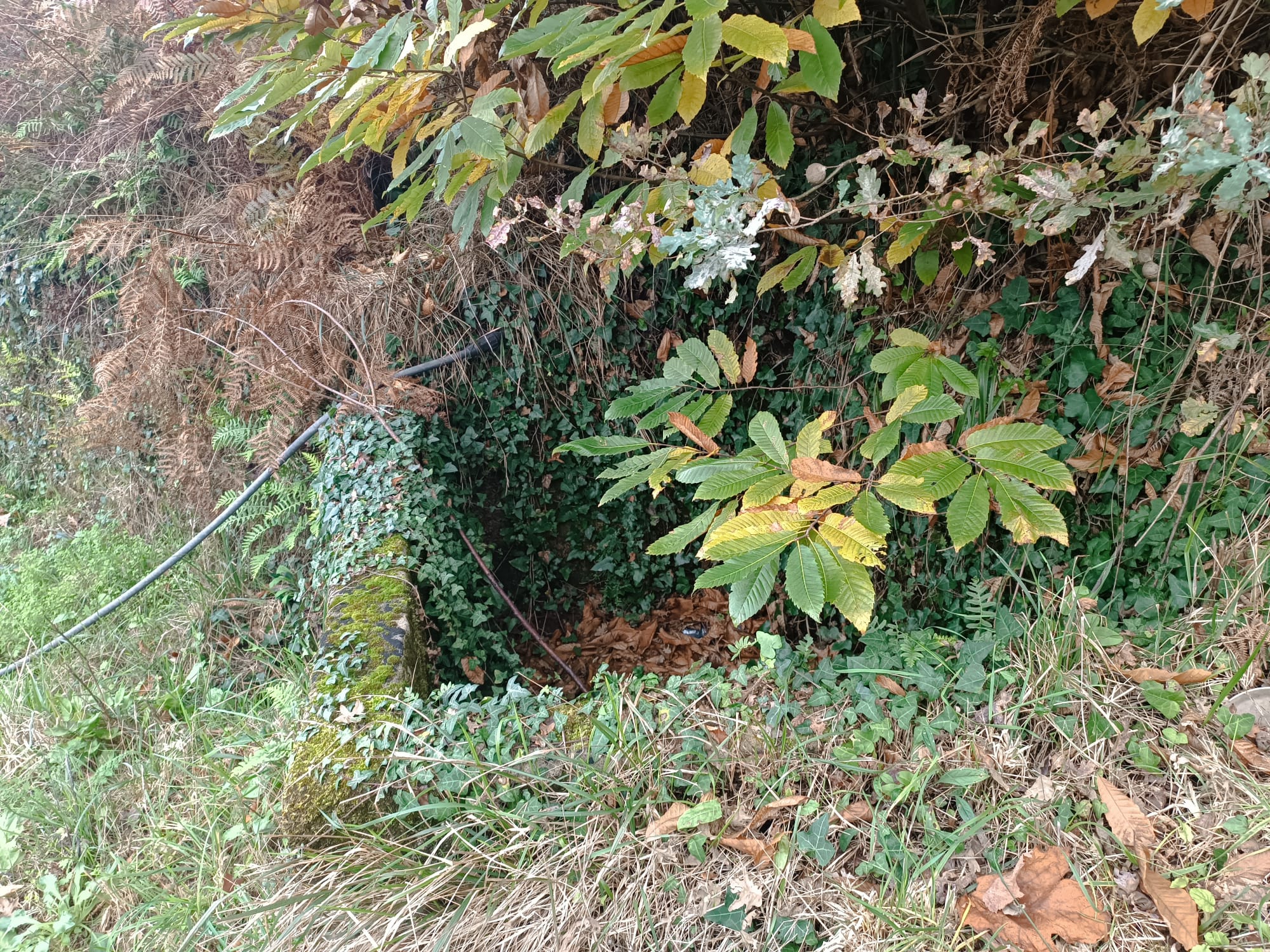 Terreno c/ 1.400m2 e Armazem em Louredo, Geres