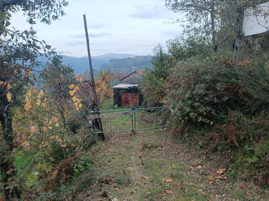 Terreno c/ 1.400m2 e Armazem em Louredo, Geres