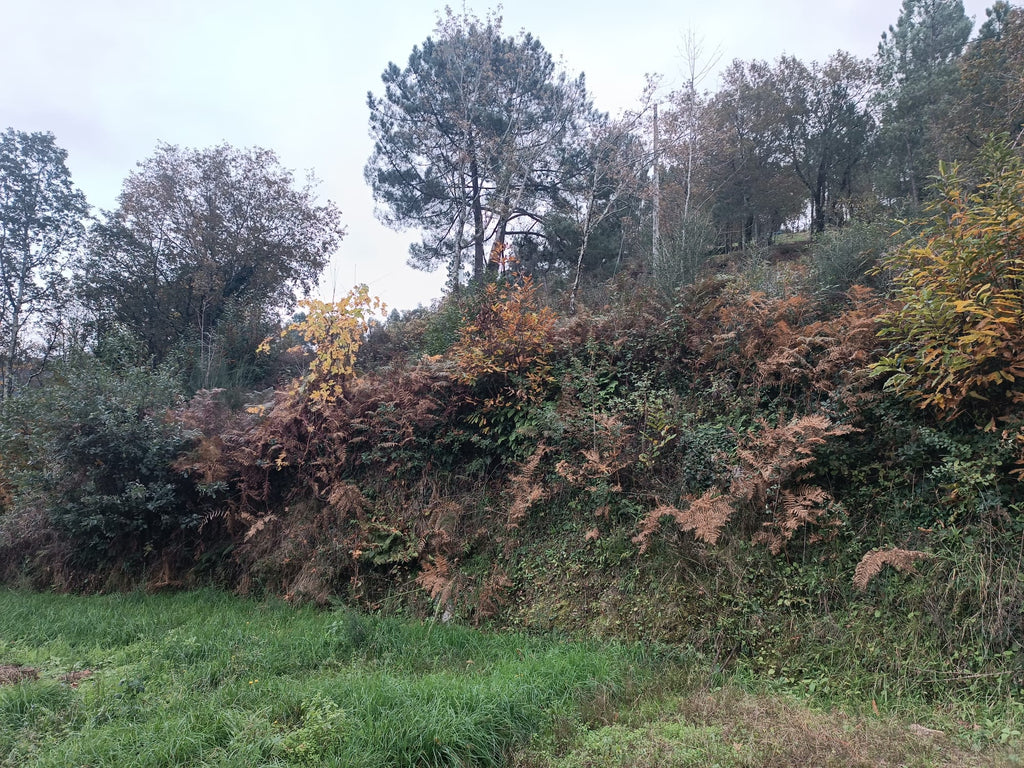 Terreno c/ 1.400m2 e Armazem em Louredo, Geres