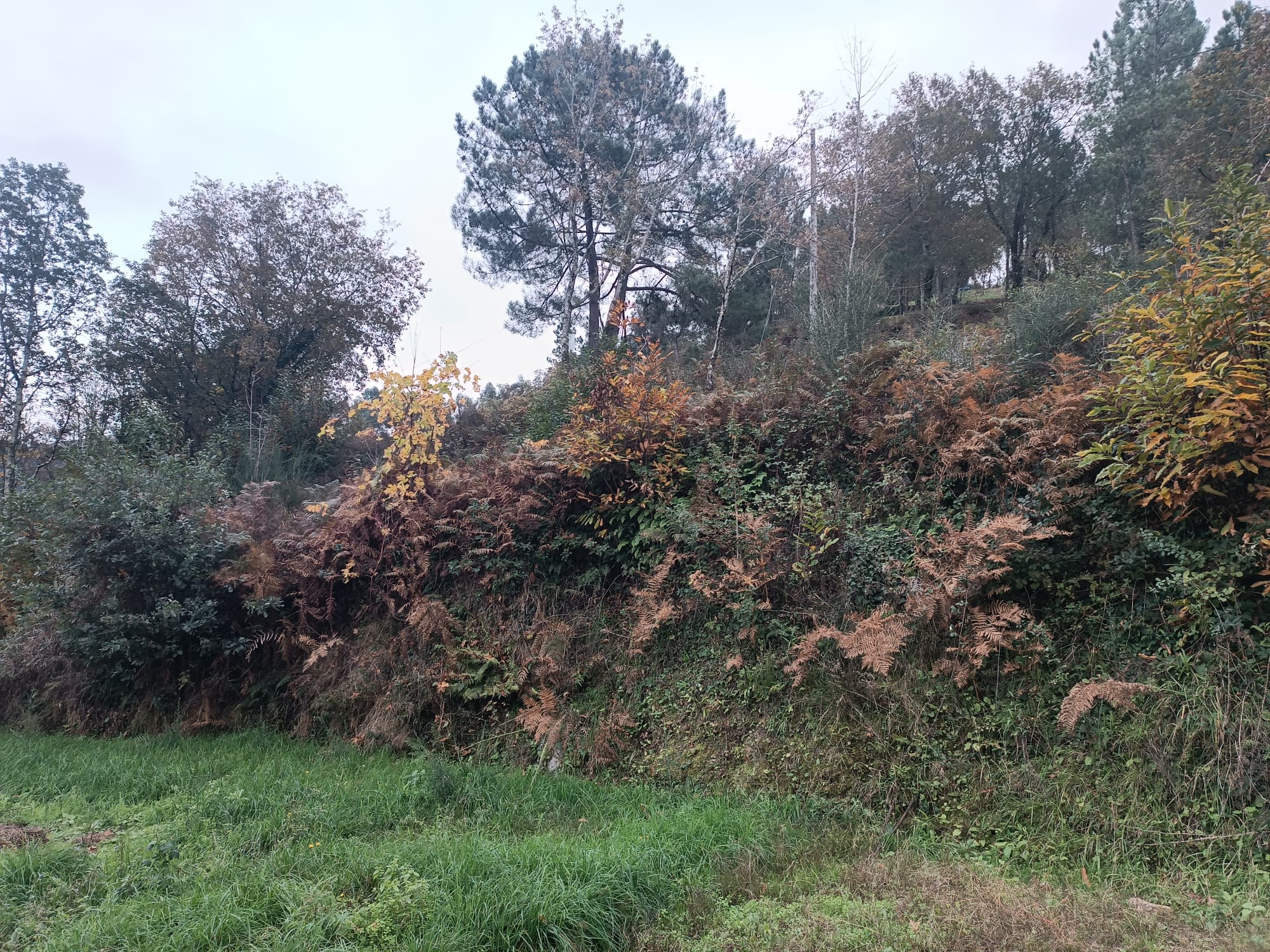 Terreno c/ 1.400m2 e Armazem em Louredo, Geres