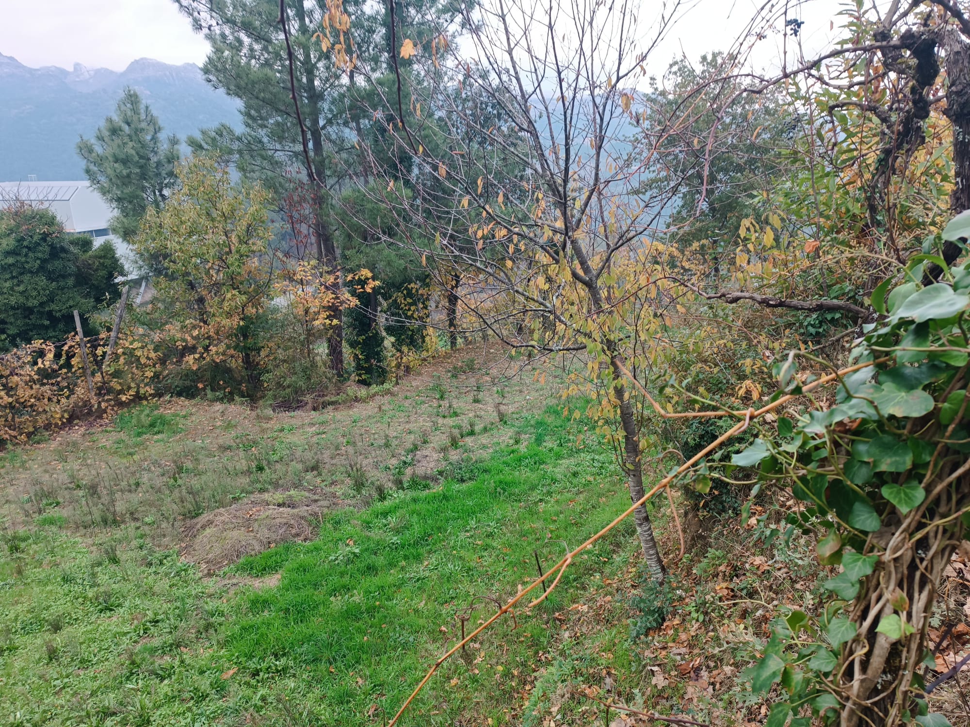 Terreno c/ 1.400m2 e Armazem em Louredo, Geres