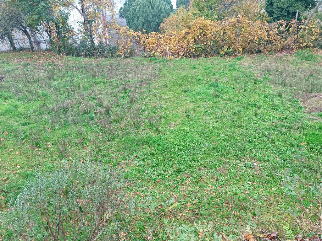 Terreno c/ 1.400m2 e Armazem em Louredo, Geres