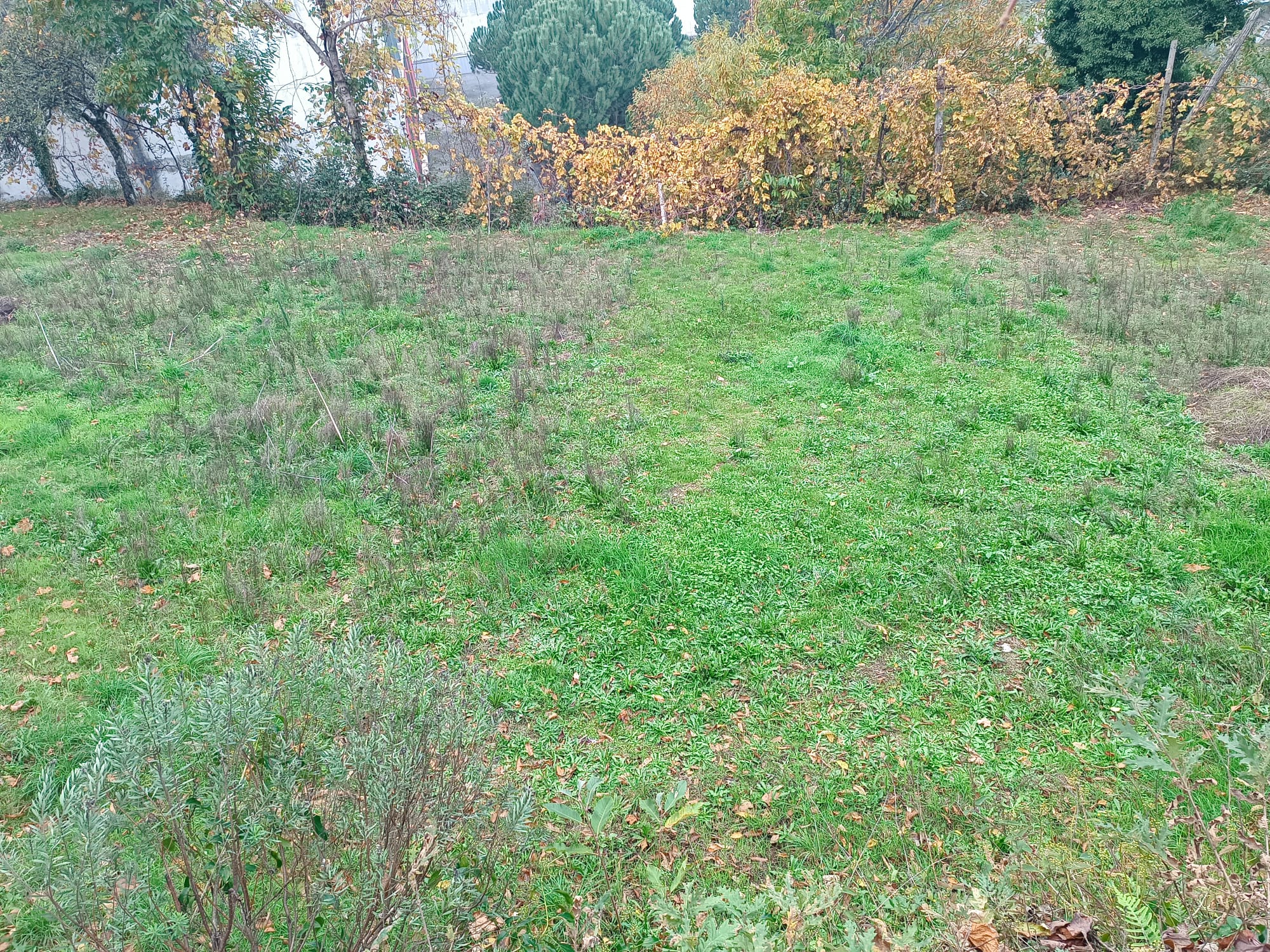 Terreno c/ 1.400m2 e Armazem em Louredo, Geres