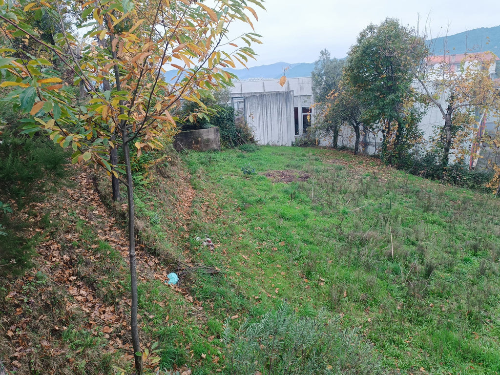 Terreno c/ 1.400m2 e Armazem em Louredo, Geres