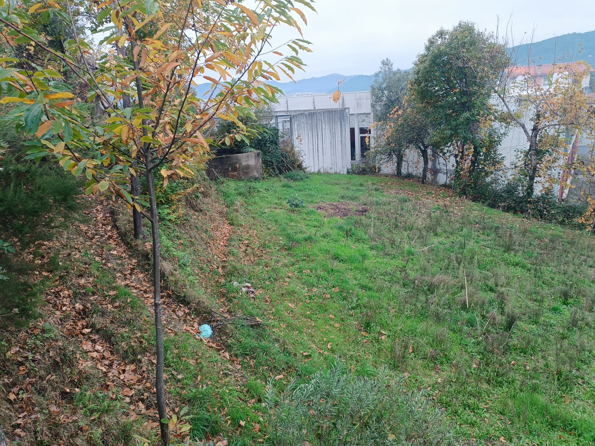 Terreno c/ 1.400m2 e Armazem em Louredo, Geres