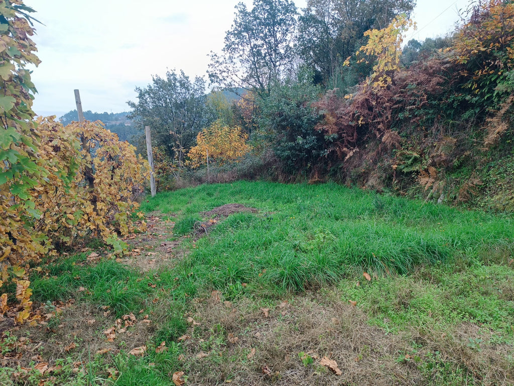Terreno c/ 1.400m2 e Armazem em Louredo, Geres