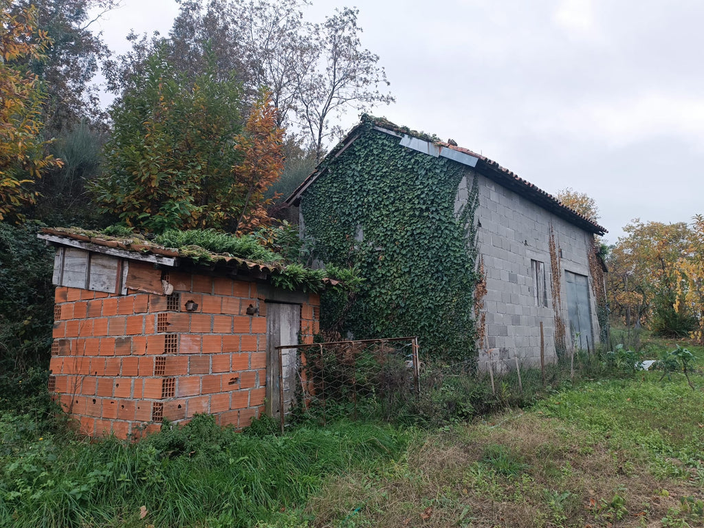 Terreno c/ 1.400m2 e Armazem em Louredo, Geres