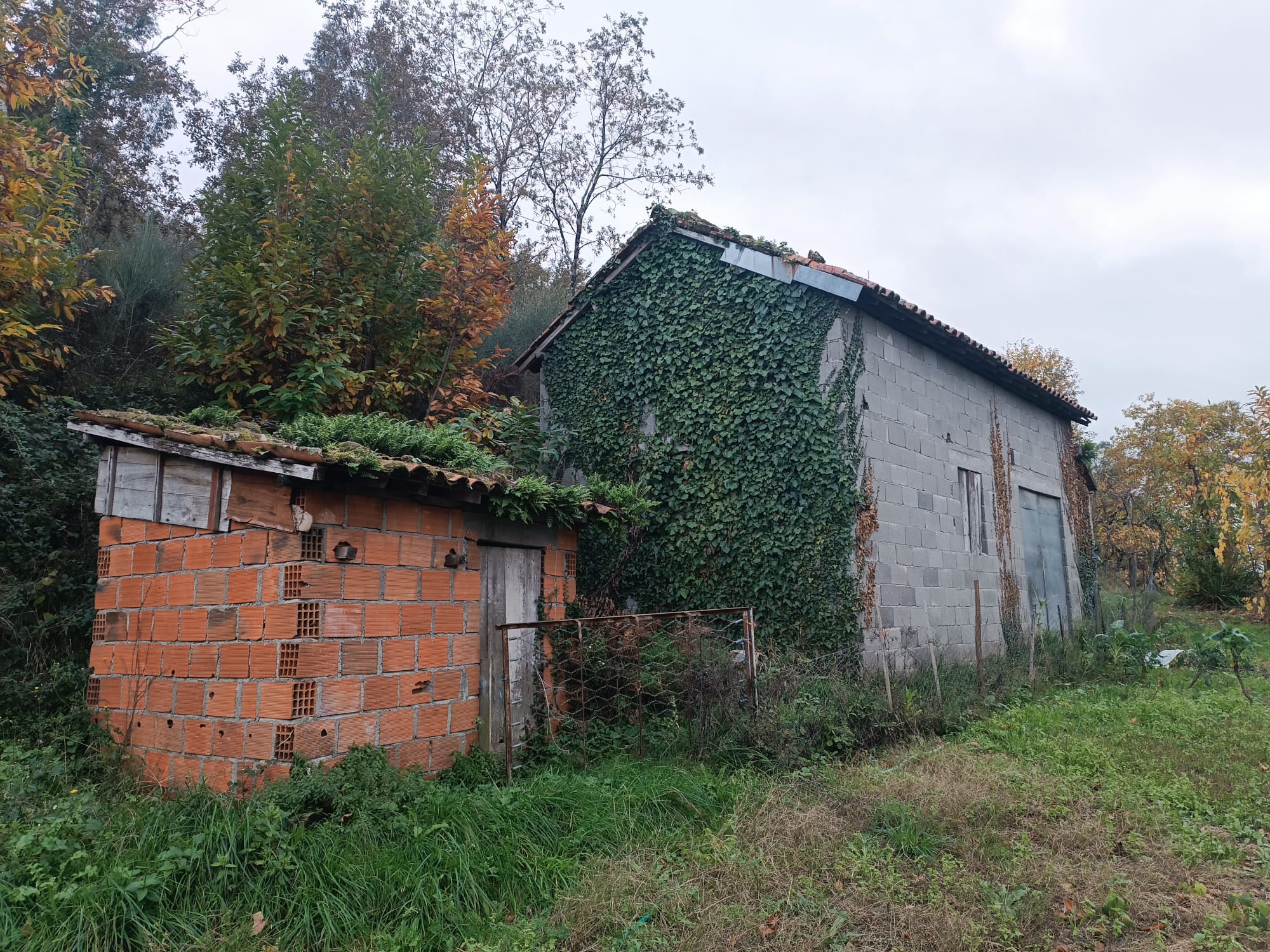 Terreno c/ 1.400m2 e Armazem em Louredo, Geres