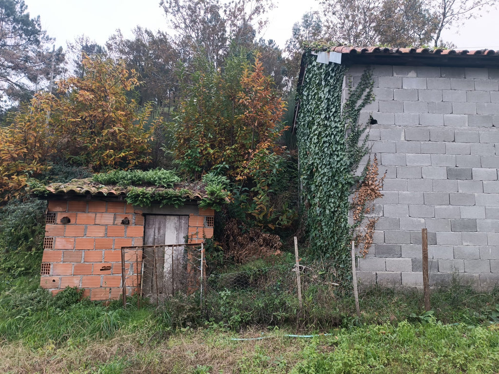 Terreno c/ 1.400m2 e Armazem em Louredo, Geres