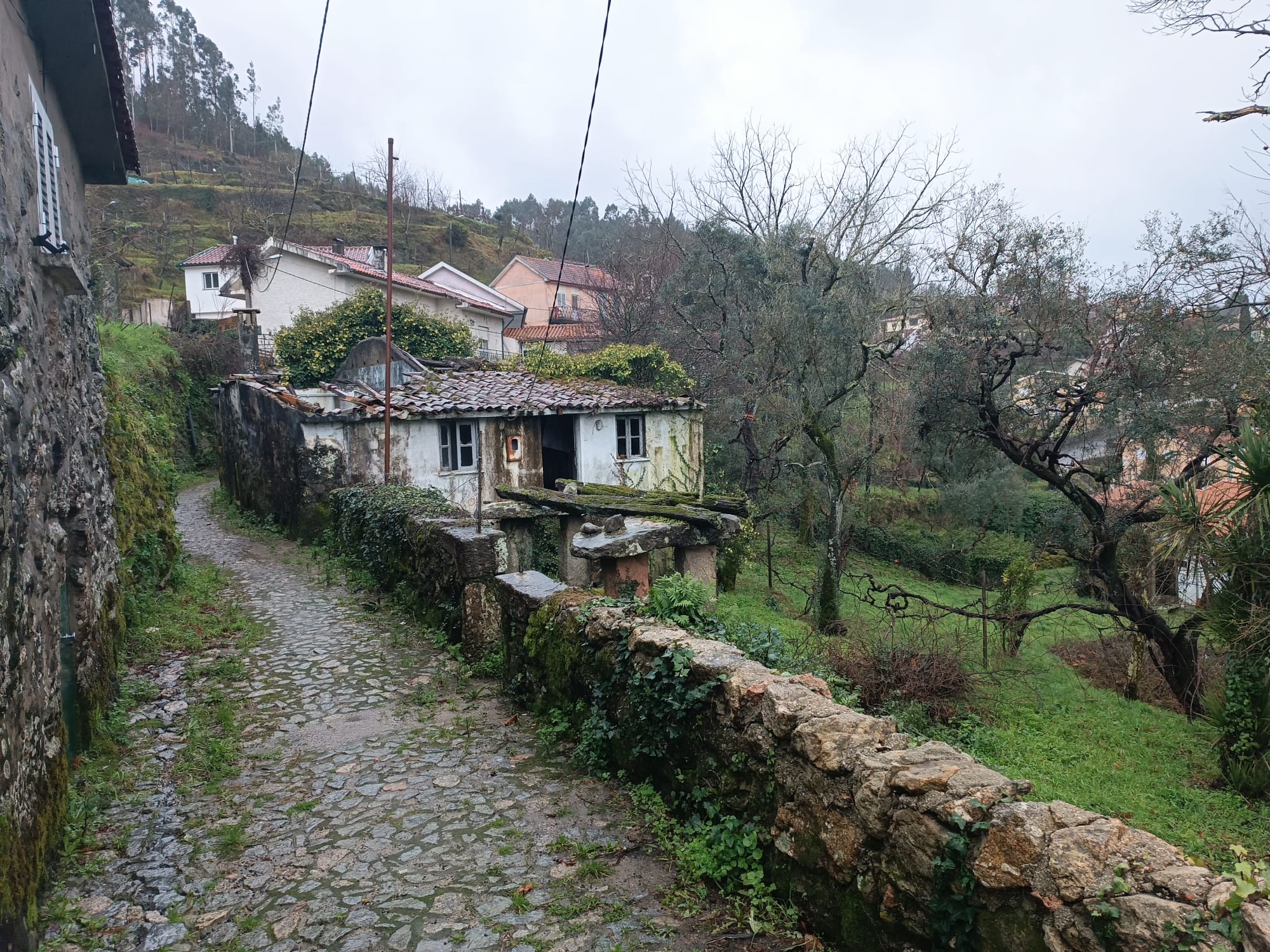 Ruina em Pedra c/ Terreno - O refugio perrfeito em Salamonde, Gerês