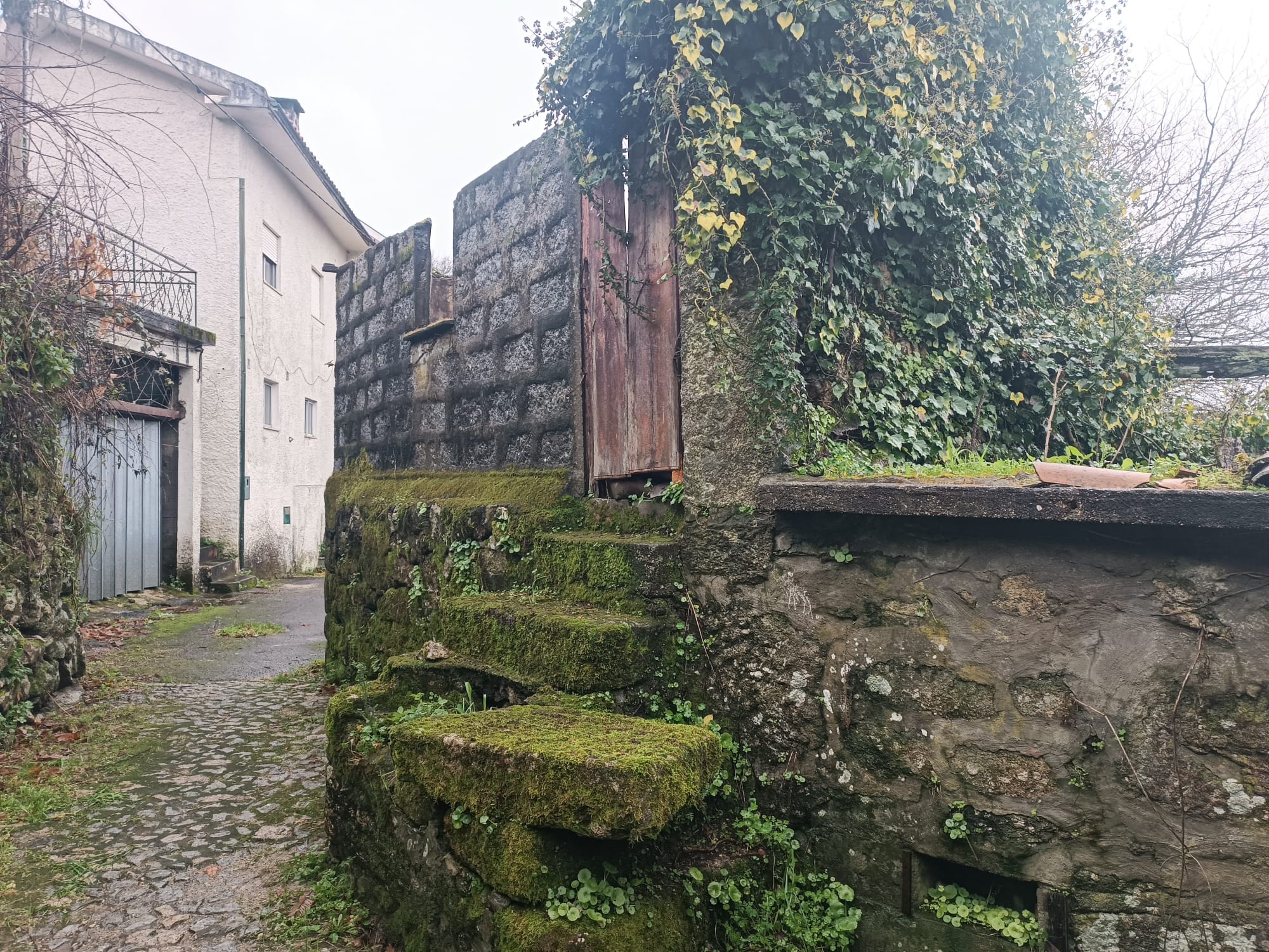 Ruina em Pedra c/ Terreno - O refugio perrfeito em Salamonde, Gerês