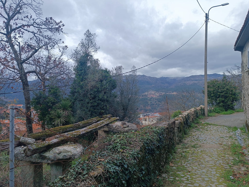 Ruina em Pedra c/ Terreno - O refugio perrfeito em Salamonde, Gerês