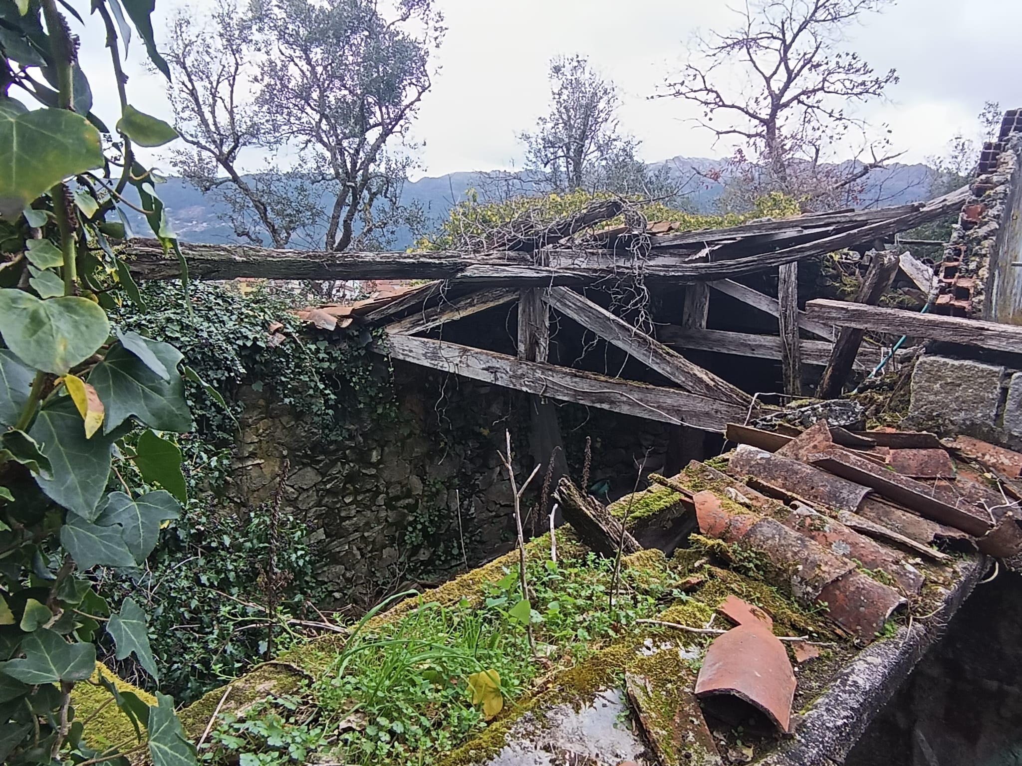 Ruina em Pedra c/ Terreno - O refugio perrfeito em Salamonde, Gerês