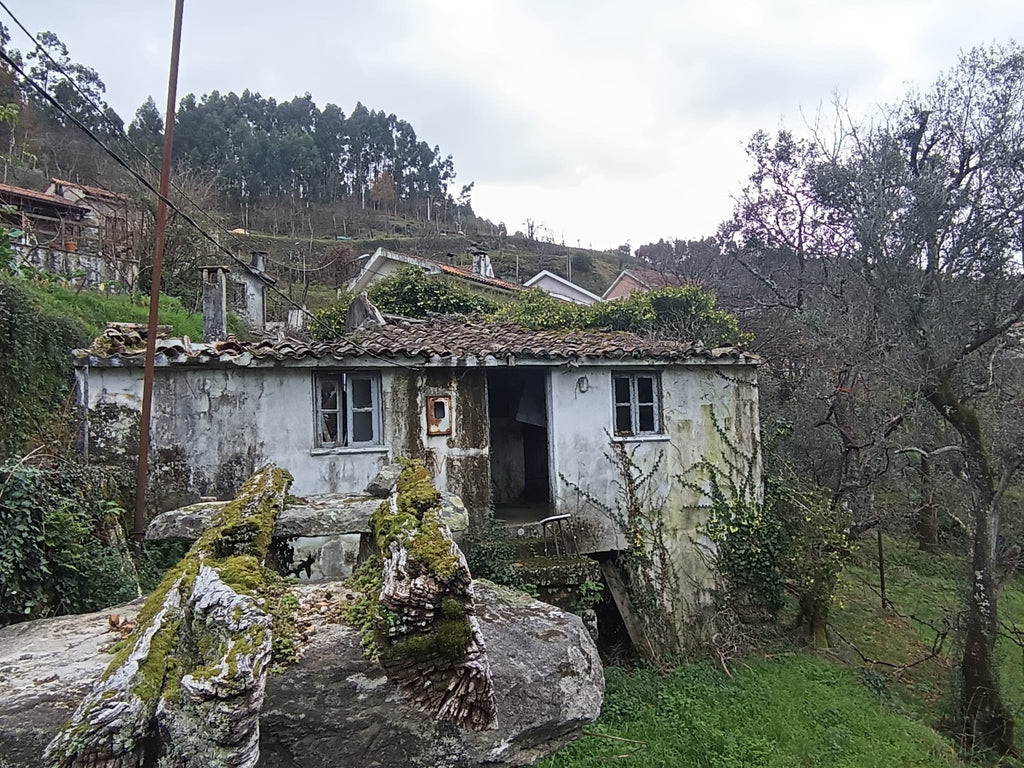 Ruina em Pedra c/ Terreno - O refugio perrfeito em Salamonde, Gerês