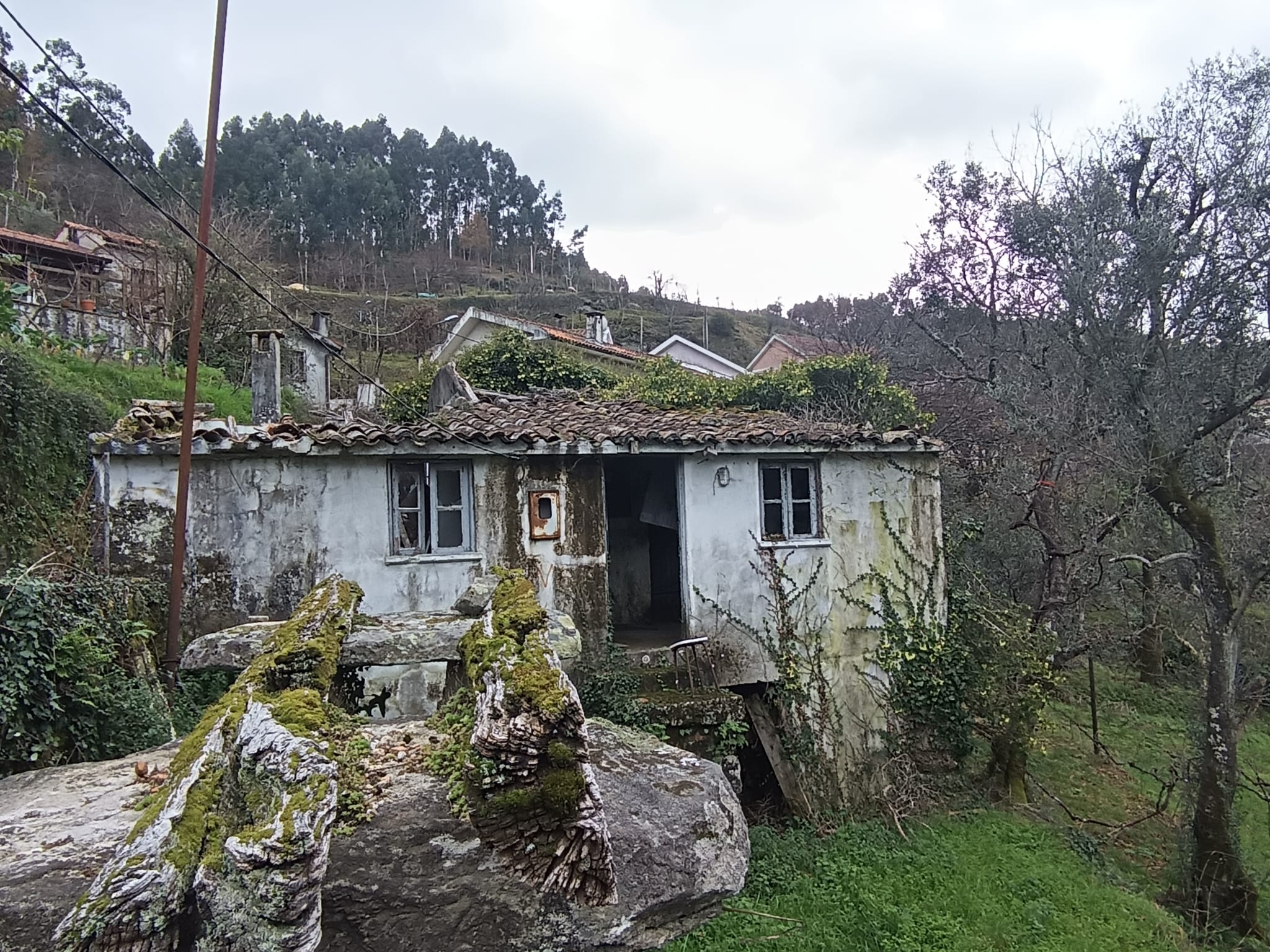 Ruina em Pedra c/ Terreno - O refugio perrfeito em Salamonde, Gerês