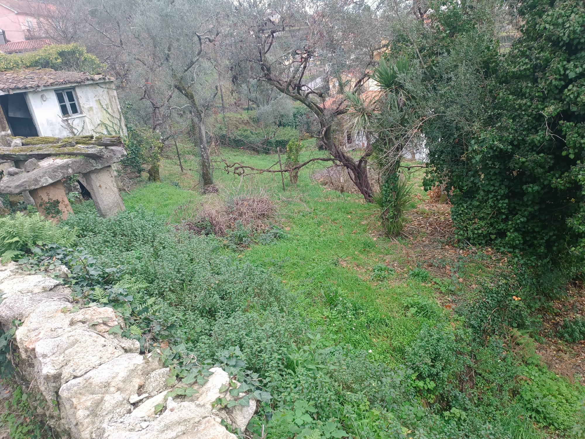 Ruina em Pedra c/ Terreno - O refugio perrfeito em Salamonde, Gerês