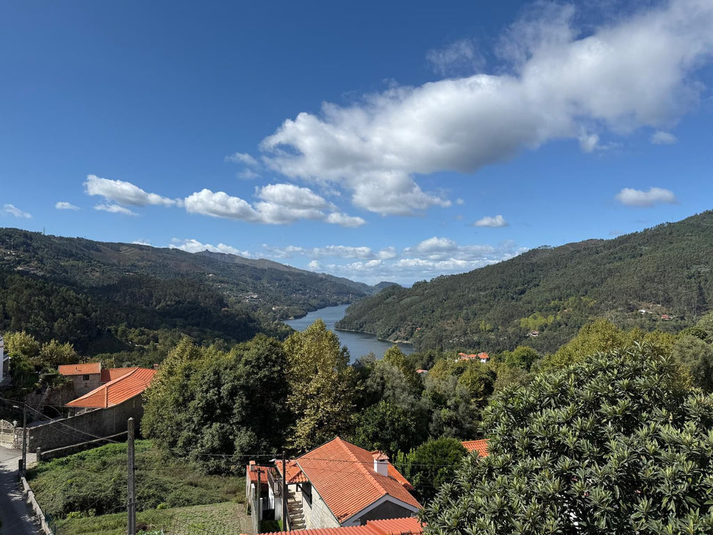 Moradia com Vista para a Albufeira da Caniçada – Ideal para Comércio ou Conversão em Habitação
