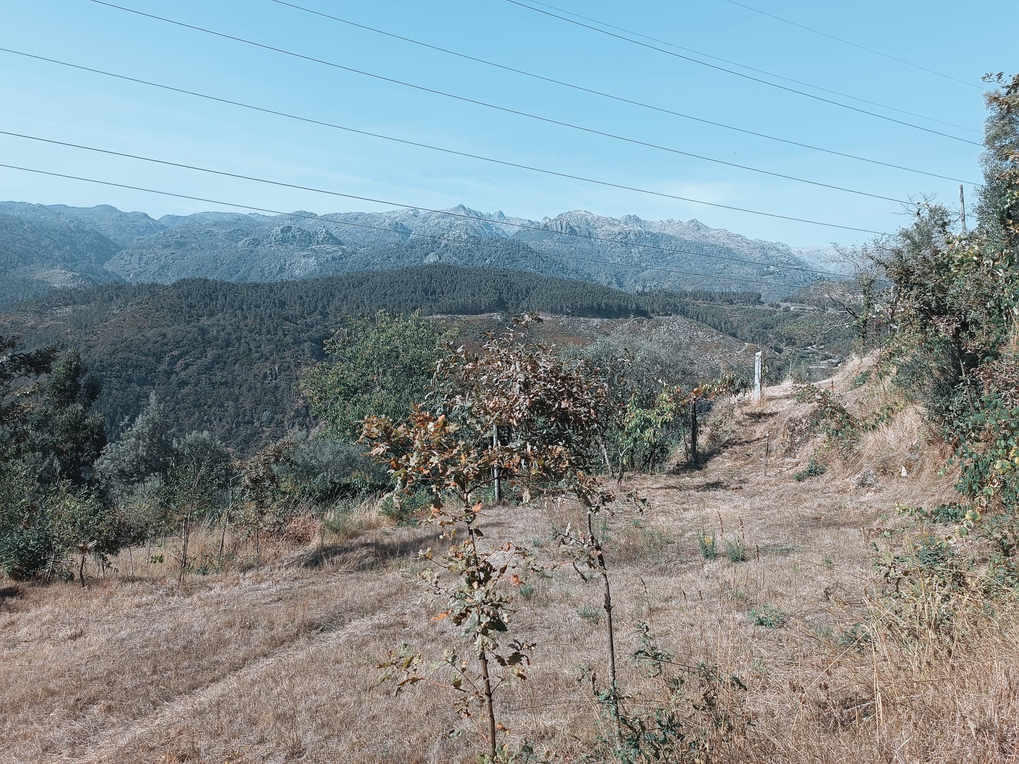 Casa com vistas encantadoras em Salamonde c/ terreno de 7.000m2