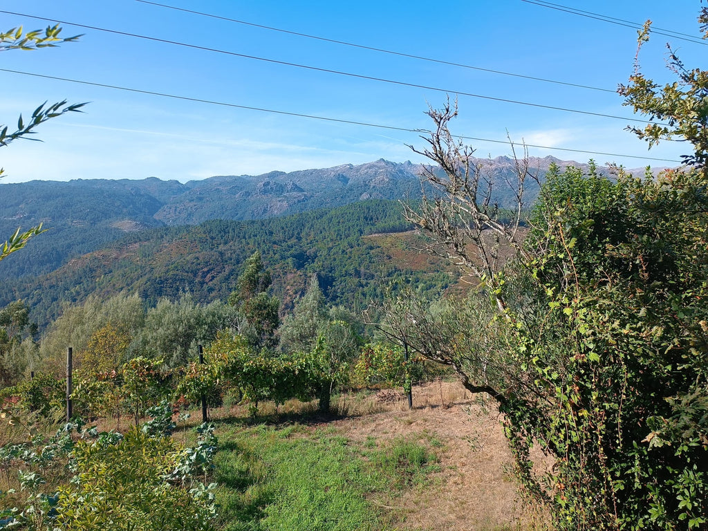 Casa com vistas encantadoras em Salamonde c/ terreno de 7.000m2