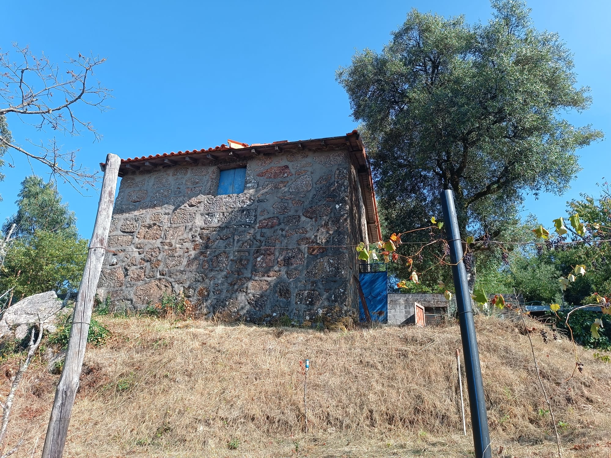 Casa com vistas encantadoras em Salamonde c/ terreno de 7.000m2