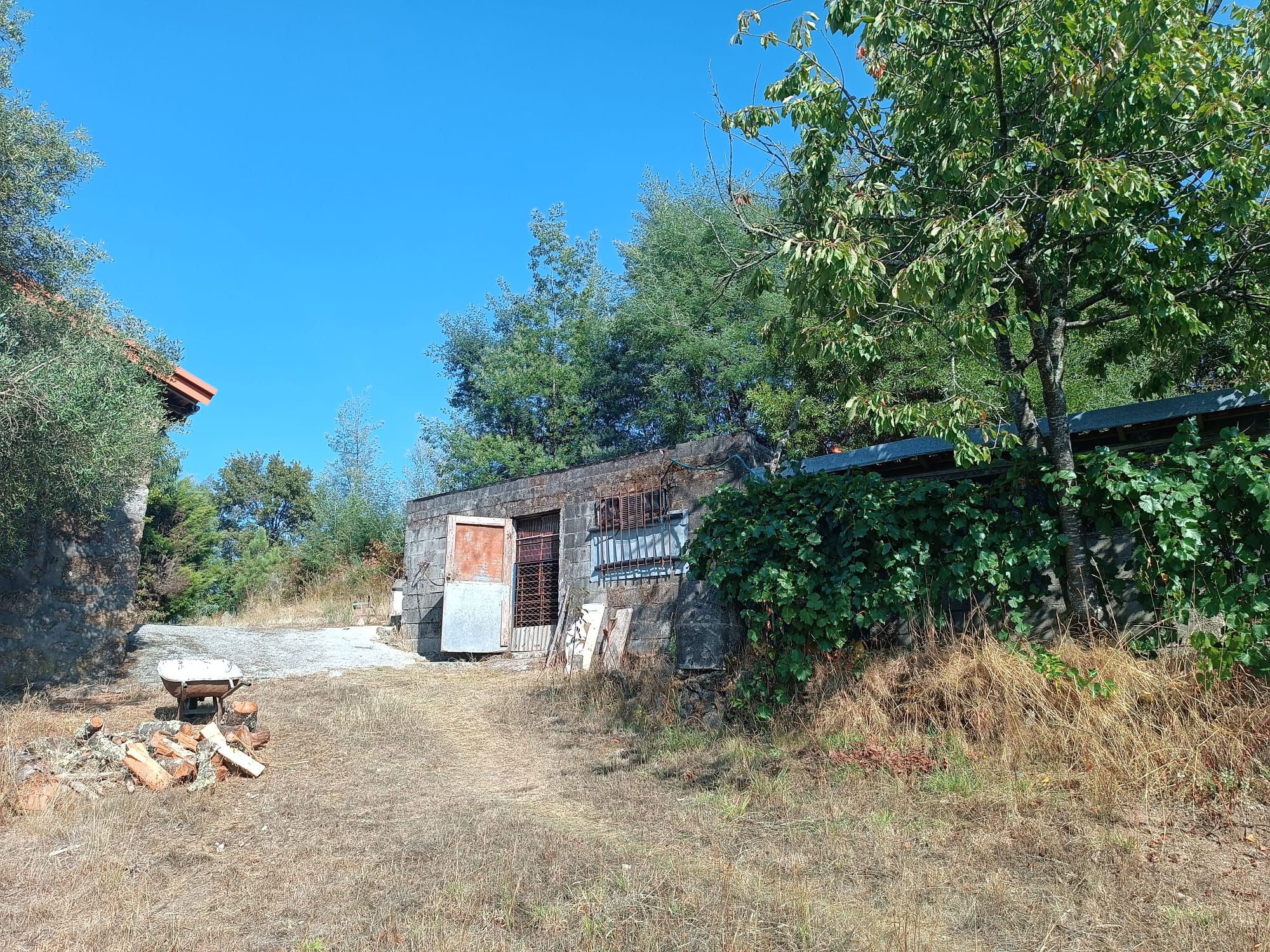 Casa com vistas encantadoras em Salamonde c/ terreno de 7.000m2