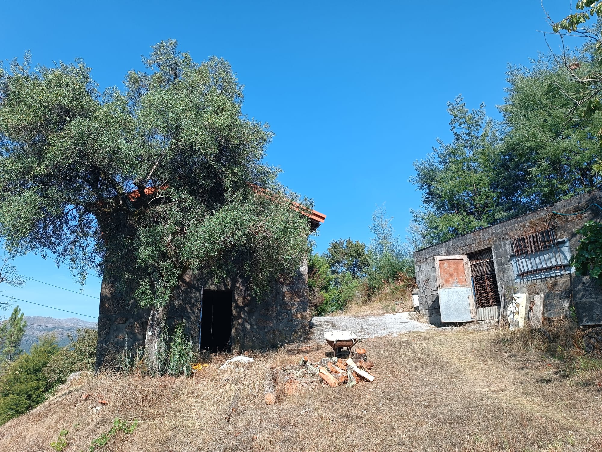Casa com vistas encantadoras em Salamonde c/ terreno de 7.000m2