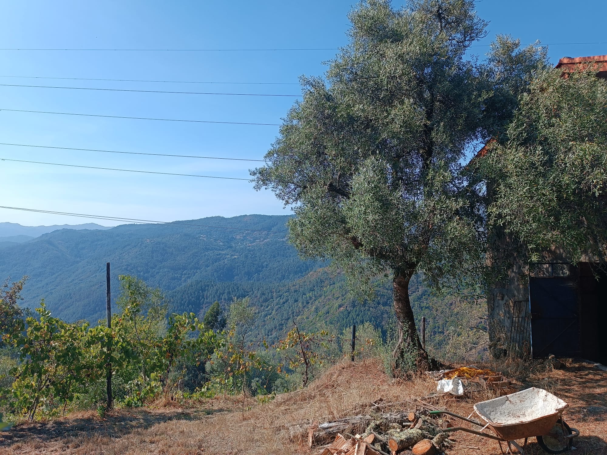 Casa com vistas encantadoras em Salamonde c/ terreno de 7.000m2