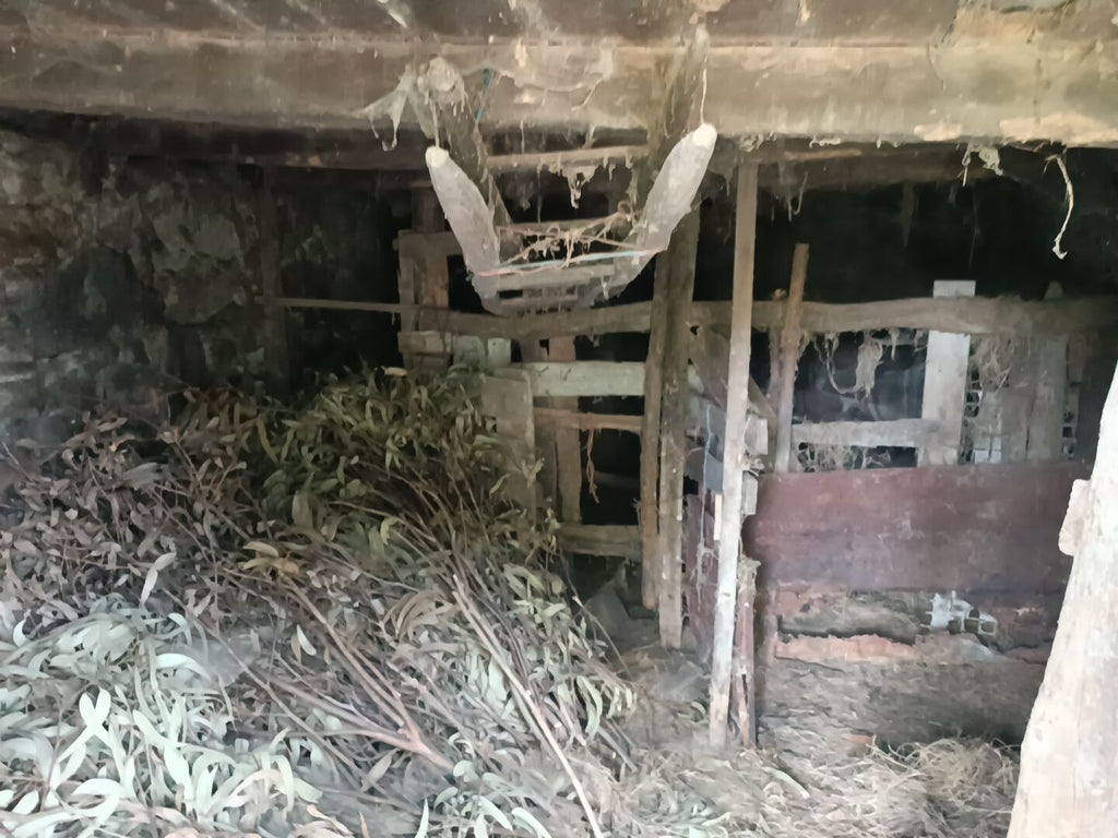 Ruina + Terreno margeando um Riacho em Salamonde, Gerês c/ 2.260m2