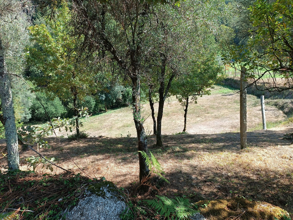 Ruina + Terreno margeando um Riacho em Salamonde, Gerês c/ 2.260m2