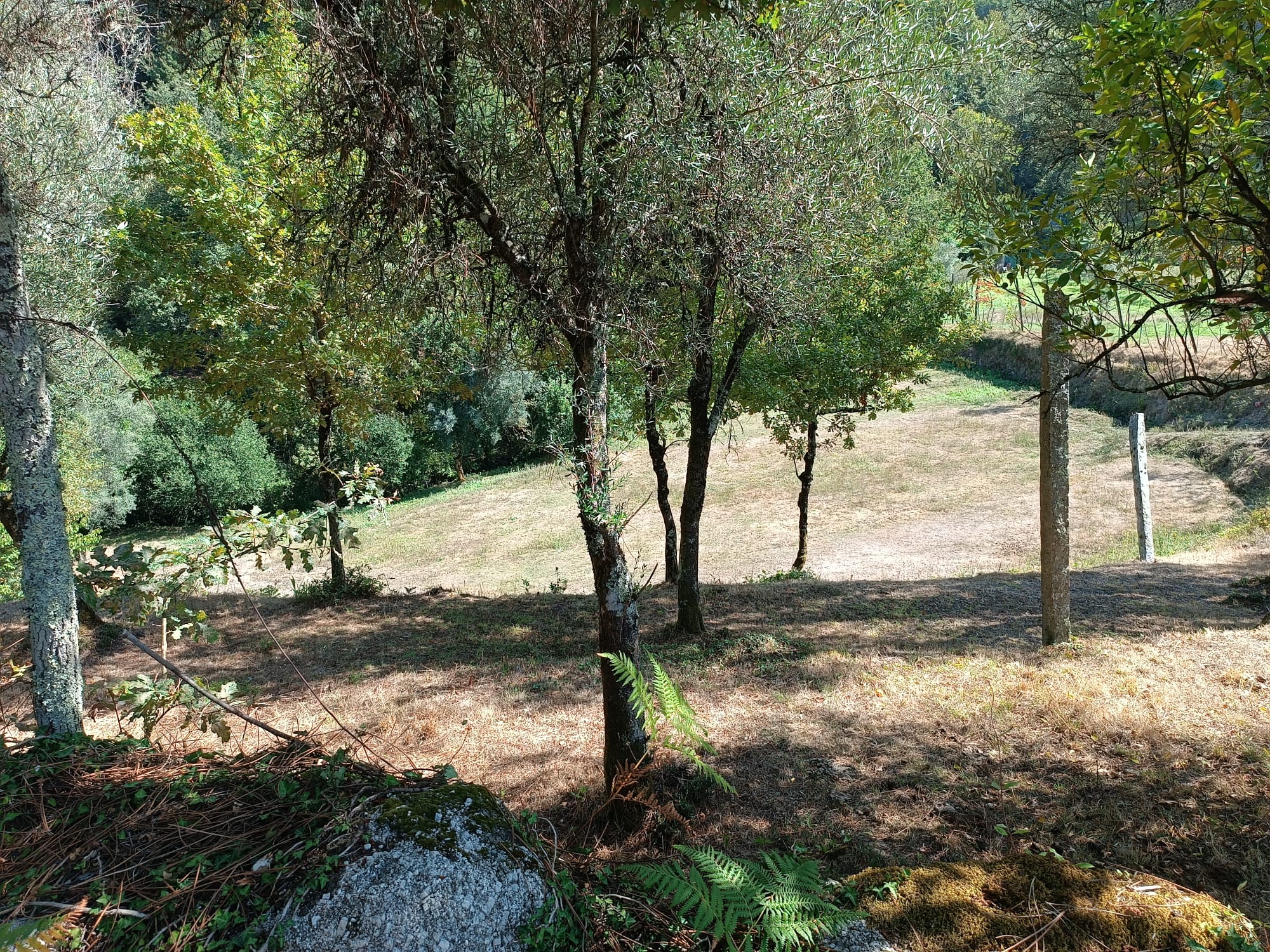 Ruina + Terreno margeando um Riacho em Salamonde, Gerês c/ 2.260m2