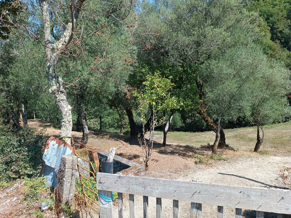 Ruina + Terreno margeando um Riacho em Salamonde, Gerês c/ 2.260m2