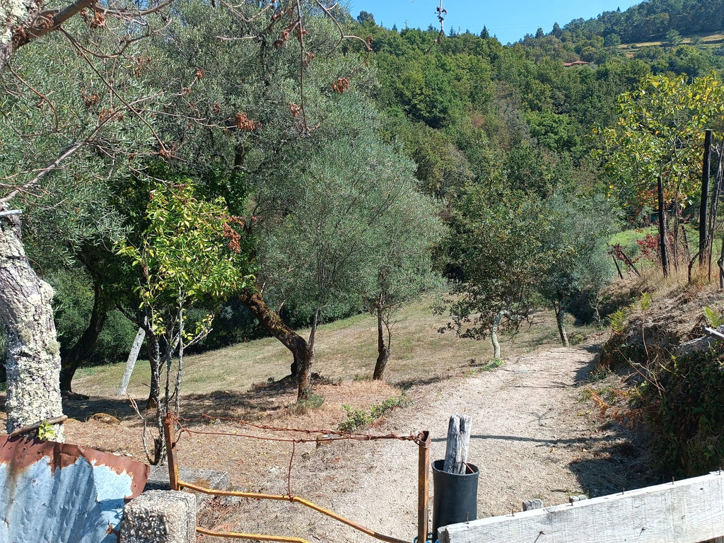 Ruina + Terreno margeando um Riacho em Salamonde, Gerês c/ 2.260m2
