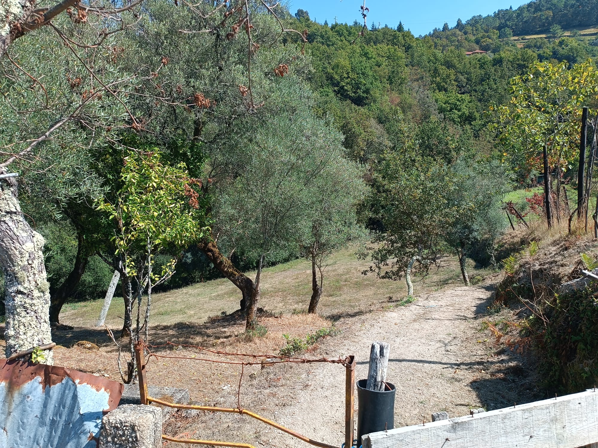 Ruina + Terreno margeando um Riacho em Salamonde, Gerês c/ 2.260m2