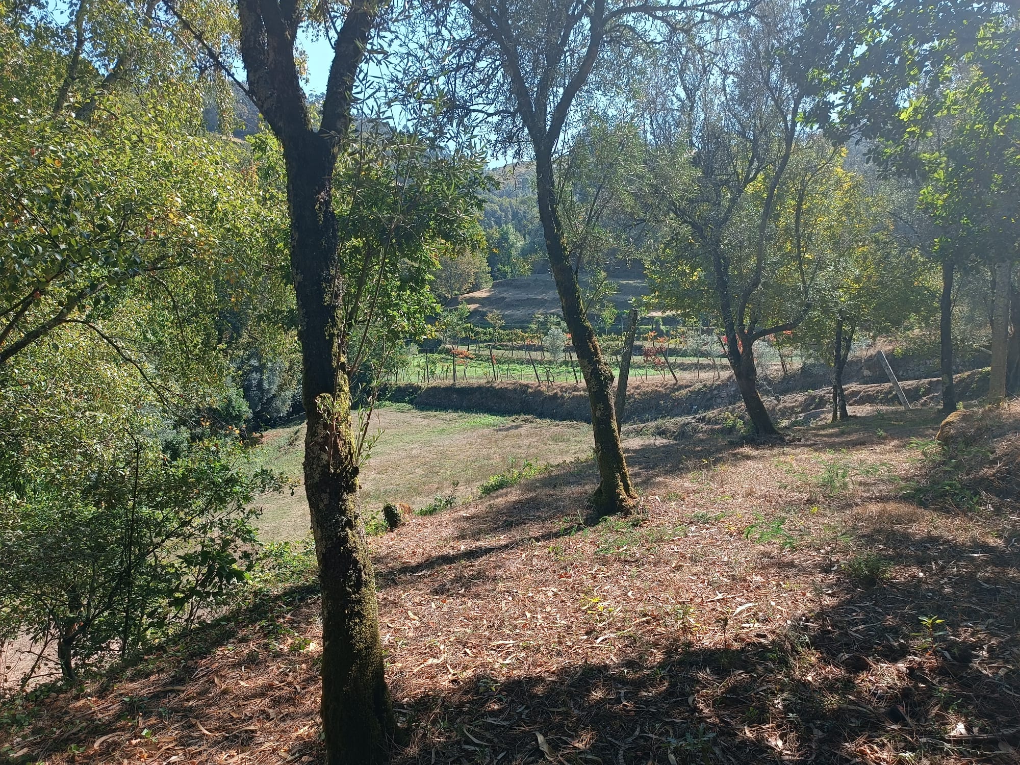 Ruina + Terreno margeando um Riacho em Salamonde, Gerês c/ 2.260m2