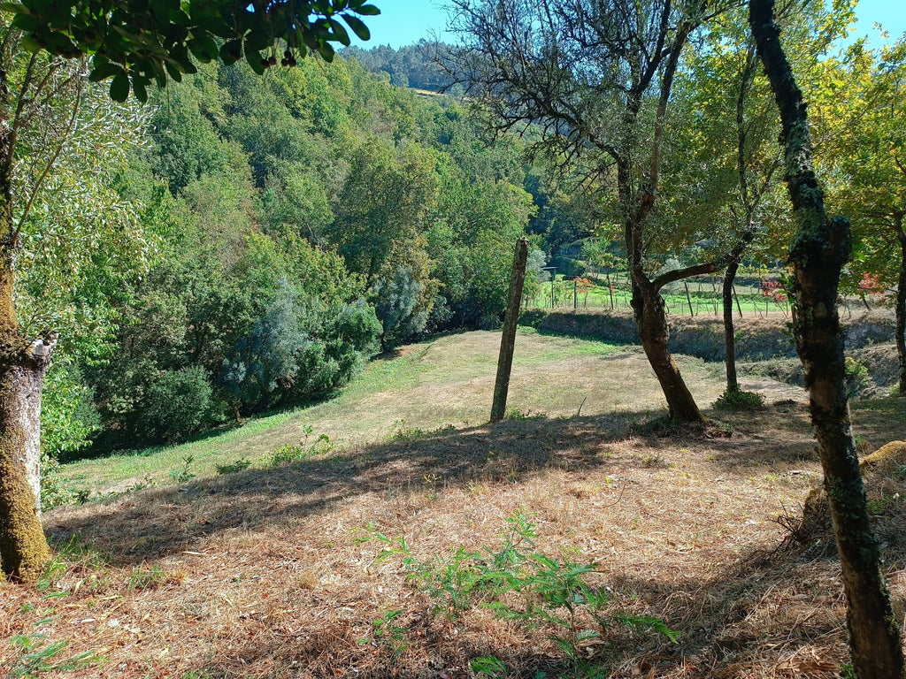 Ruina + Terreno margeando um Riacho em Salamonde, Gerês c/ 2.260m2