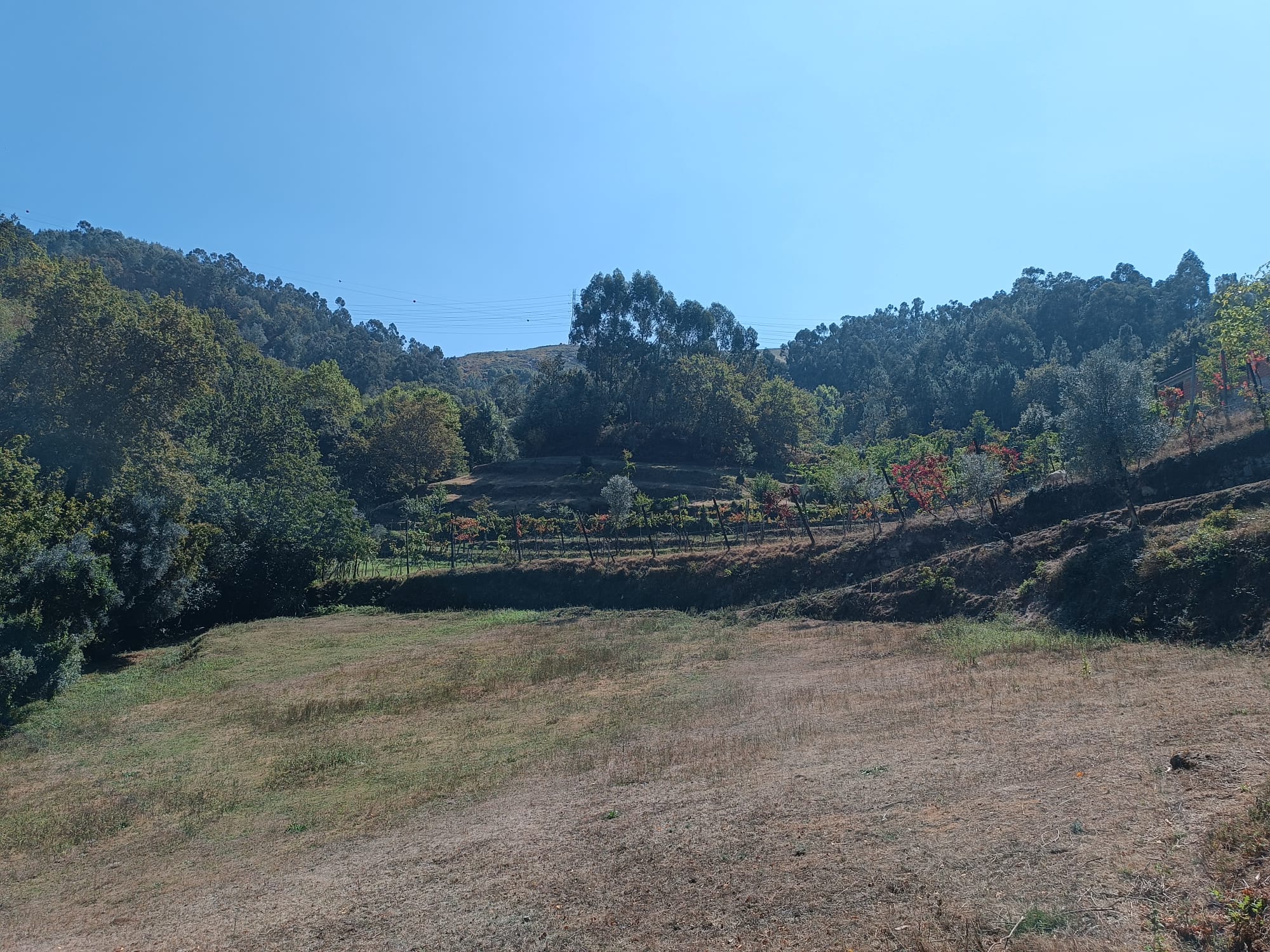 Ruina + Terreno margeando um Riacho em Salamonde, Gerês c/ 2.260m2
