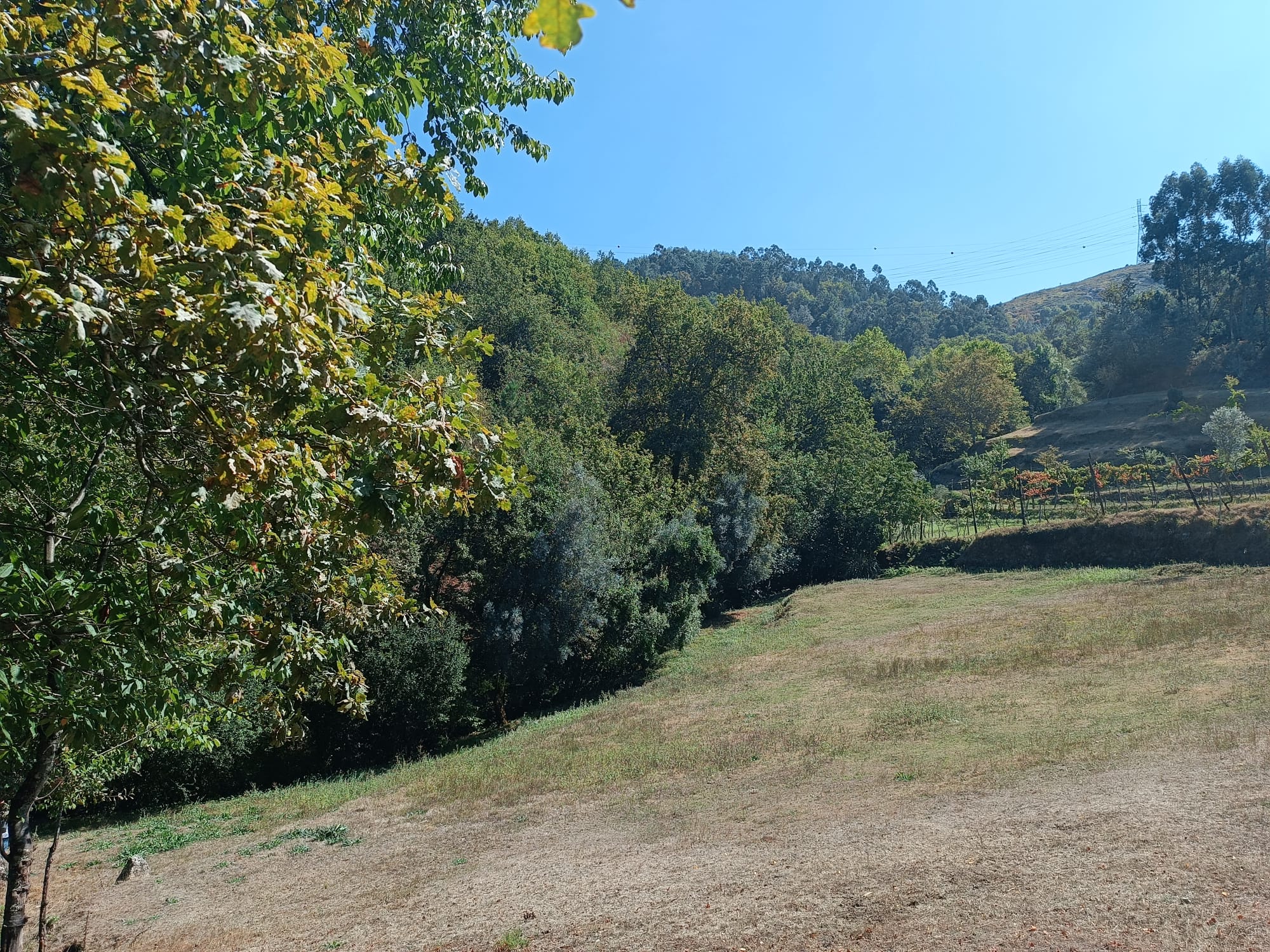 Ruina + Terreno margeando um Riacho em Salamonde, Gerês c/ 2.260m2