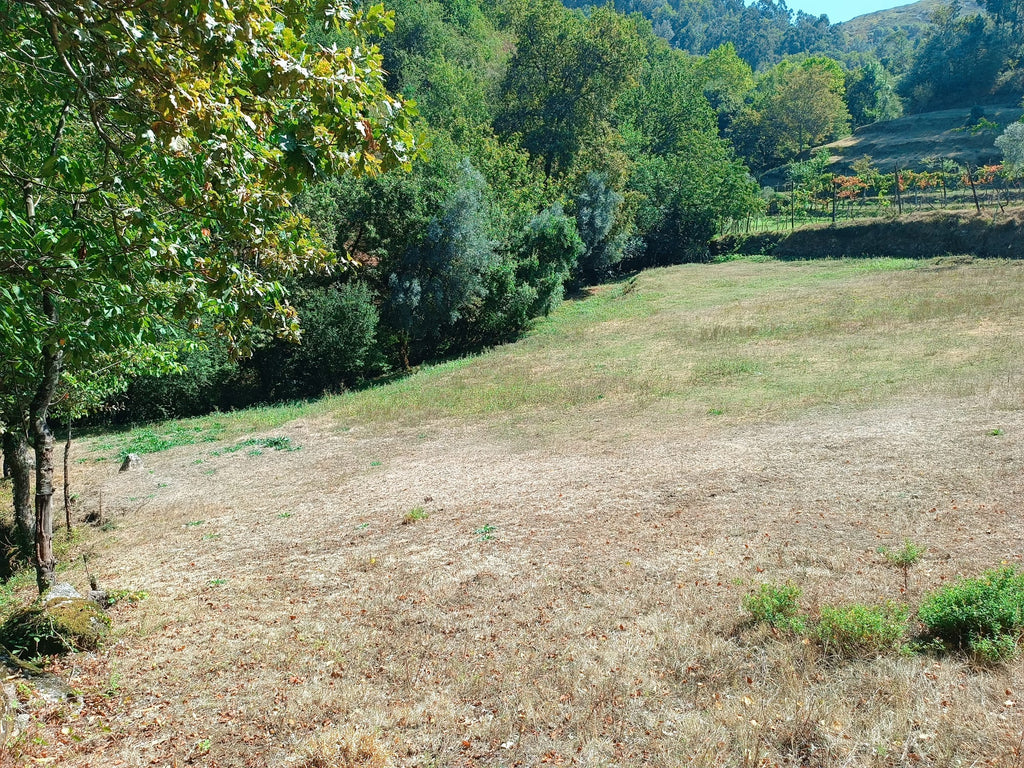 Ruina + Terreno margeando um Riacho em Salamonde, Gerês c/ 2.260m2